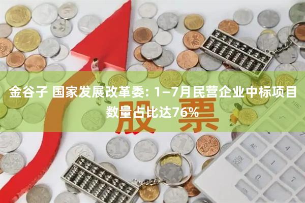 金谷子 国家发展改革委: 1—7月民营企业中标项目数量占比达76%