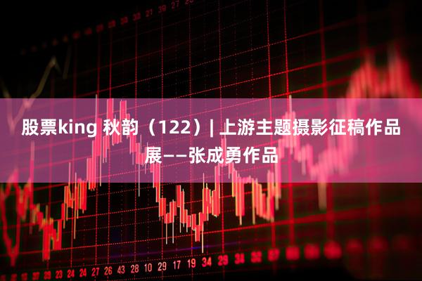 股票king 秋韵（122）| 上游主题摄影征稿作品展——张成勇作品
