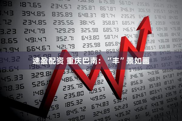 速盈配资 重庆巴南：“丰”景如画